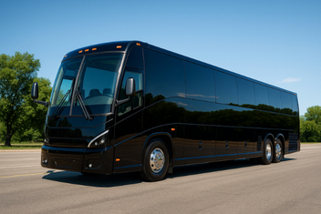 Mount Pleasant Ada Buses